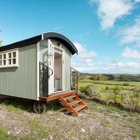 The Heron Shepherds Hut At Lyth Valley Brigsteer Екстер'єр фото